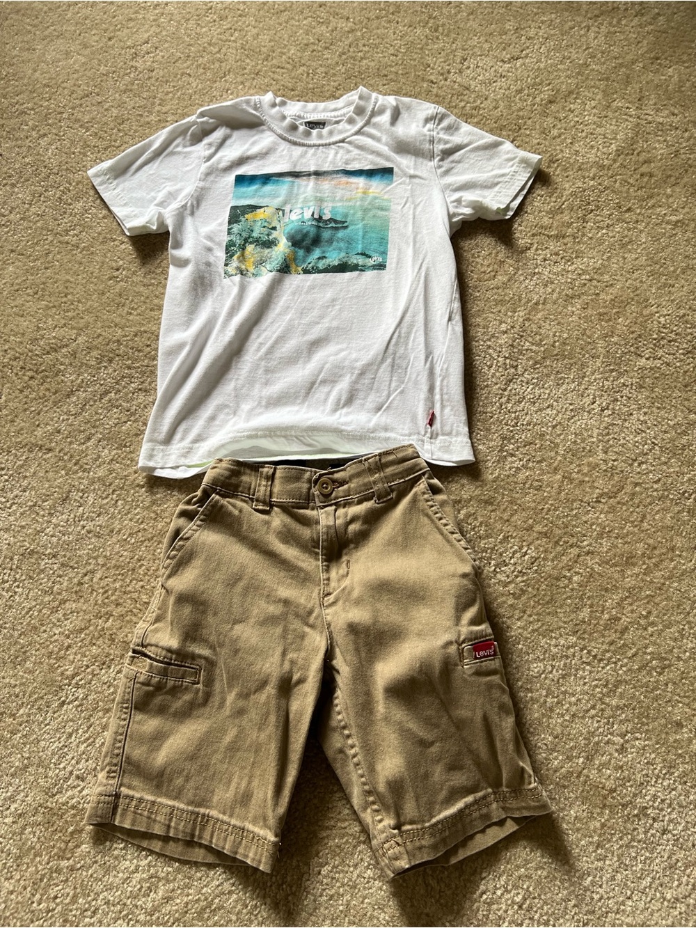 Levi's White Tee with Blue Graphic and Tan Cargo Shorts